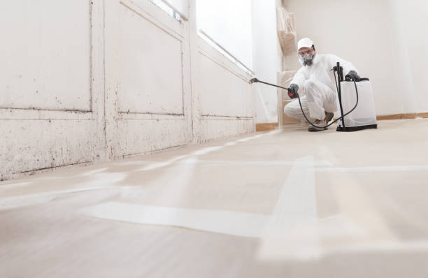 24/7 Emergency Mold Testing experts in Haledon, NJ